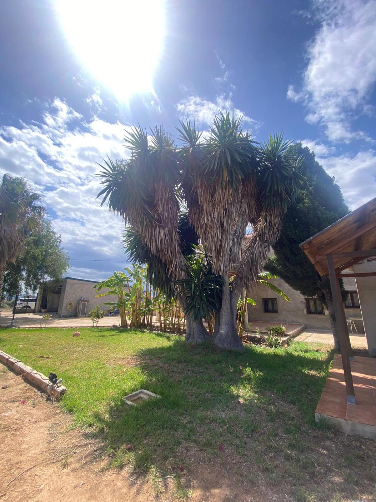 Los Almendros Torrenostra Buitenkant foto