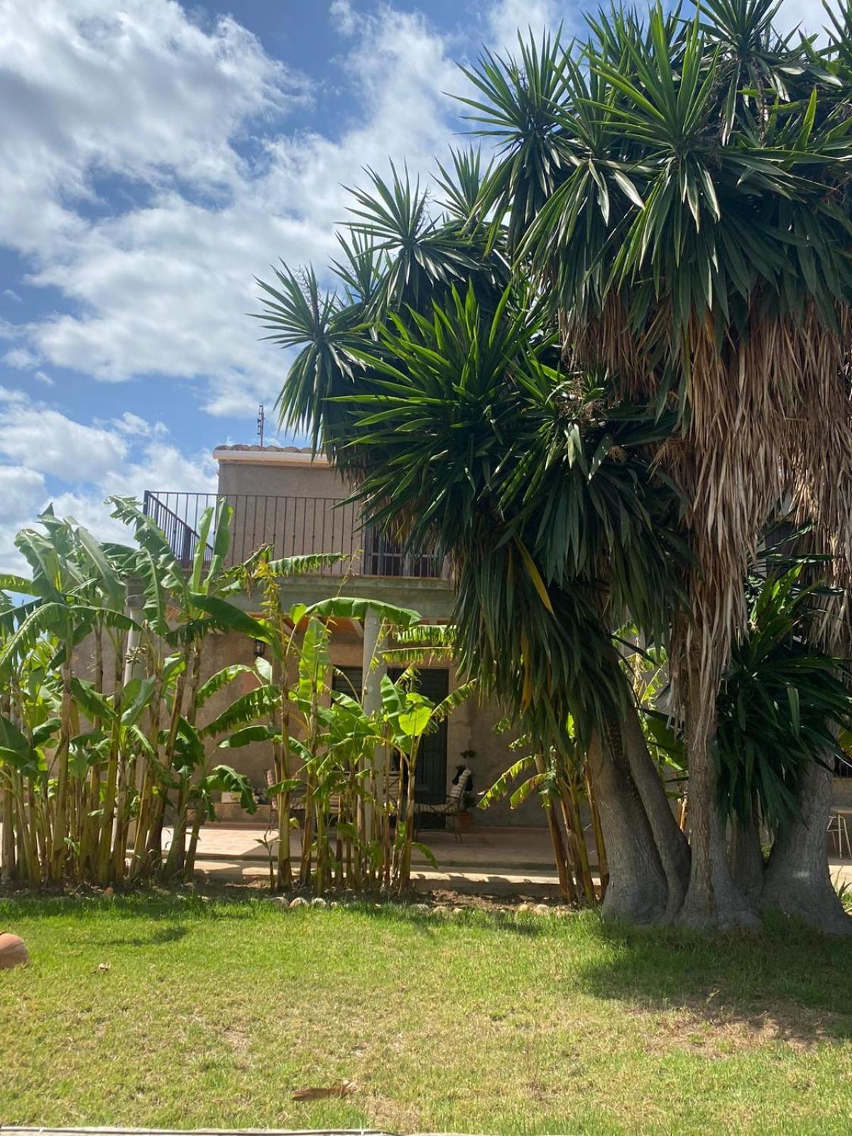 Los Almendros Torrenostra Buitenkant foto