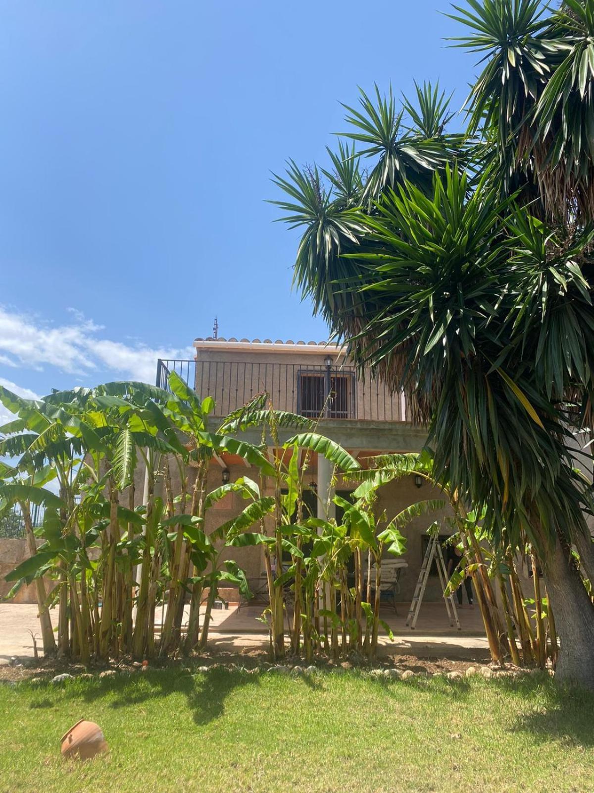 Los Almendros Torrenostra Buitenkant foto