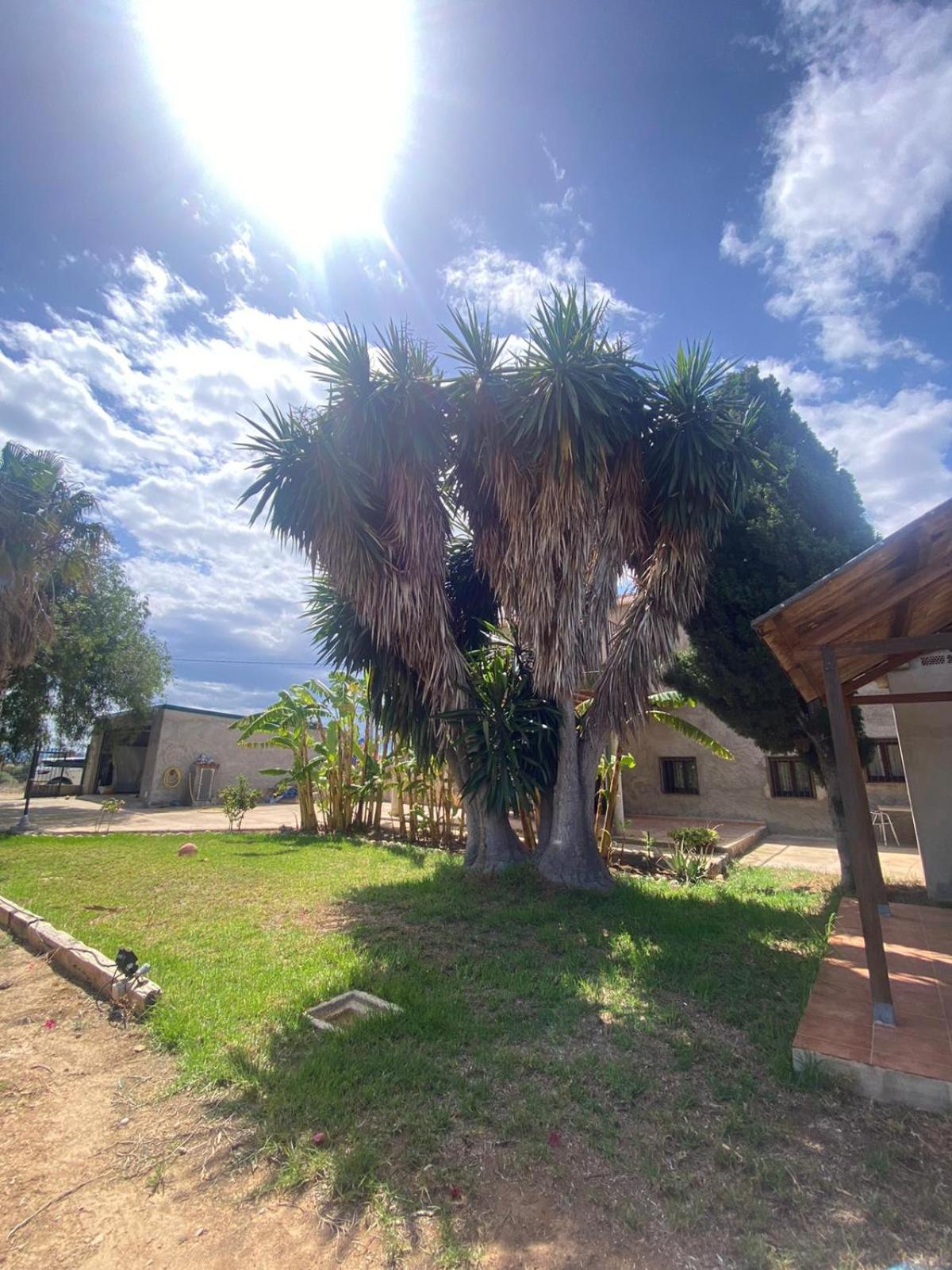 Los Almendros Torrenostra Buitenkant foto